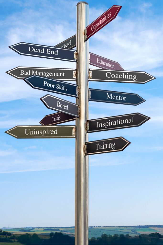 Signpost with multiple arrows showing different life and career paths, including Opportunities, Education, Coaching, Training, and Dead End.