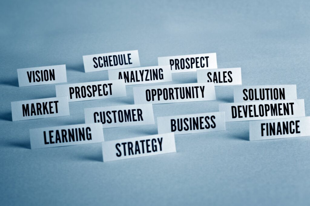 A cluster of white cards with bold business terms like Vision, Schedule, Prospect, Analyzing, Sales, Strategy, Opportunity, Development scattered on a blue surface