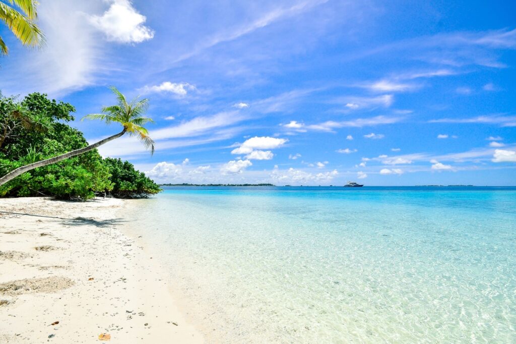 Tropical beach scene with white sand, clear turquoise water, leaning palm trees, and a bright blue sky; a distant boat on the horizon.