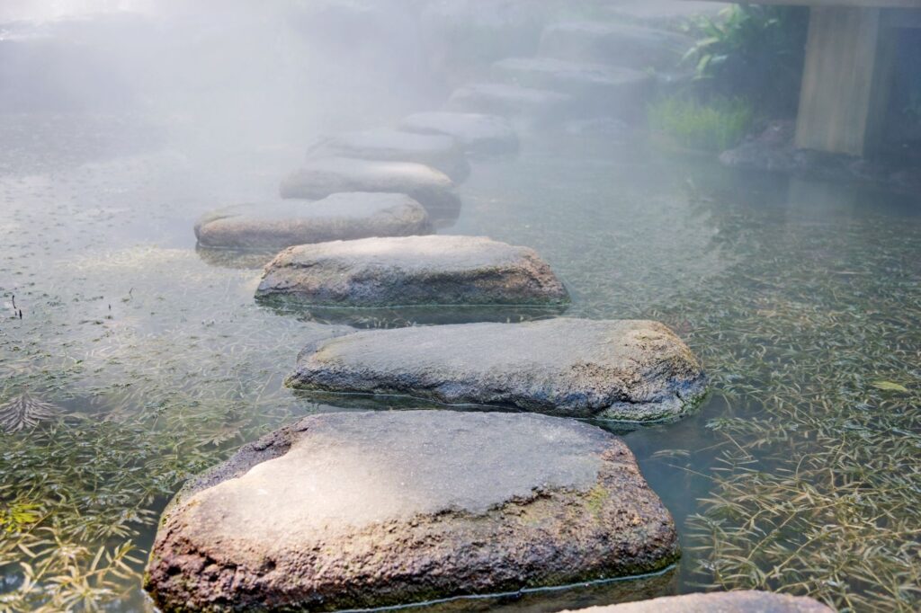 Stone stepping stones forming a path across a shallow, foggy pond with aquatic plants around the edges.